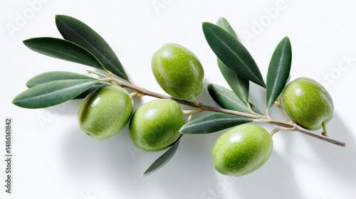 Wallpaper Mural Fresh green olives on branch Torontodigital.ca