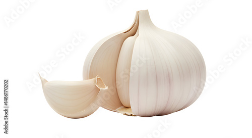 Garlic Bulb with Clove