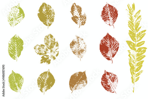 Natural leaves imprint, Grunge style, Vector, Isolated, Decorative elements for design