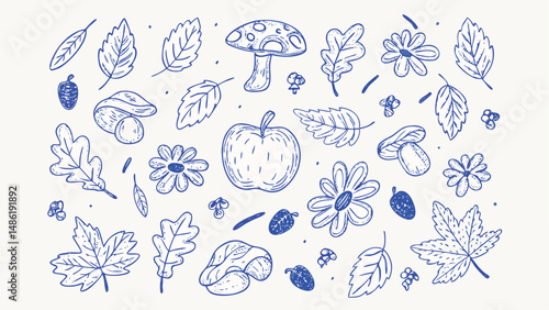 Hand drawn autumn elements leaves doodles and fall foliage illustrations for design projects