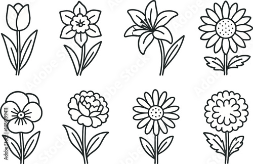 Garden flower silhouette icons set – elegant, minimalist botanical design elements photo