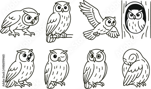 Owl behavior silhouette icons set – nocturnal bird, wildlife and avian symbols