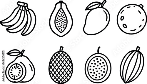 Tropical fruits outline icons set – silhouette, exotic and fresh fruit symbols