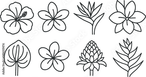 Tropical flower outline icons set – elegant, botanical and nature inspired symbols