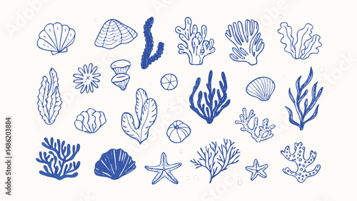 Hand drawn illustration of coral reef and seaweed in an aquarium setting perfect for marine biology oceanography or underwater themed designs