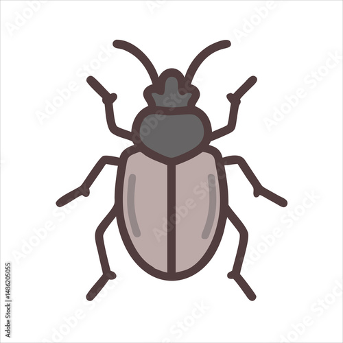 colorado potato beetle