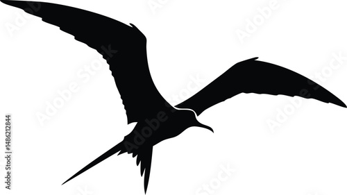 A majestic frigatebird silhouette soars gracefully with its wings outstretched against the white background
