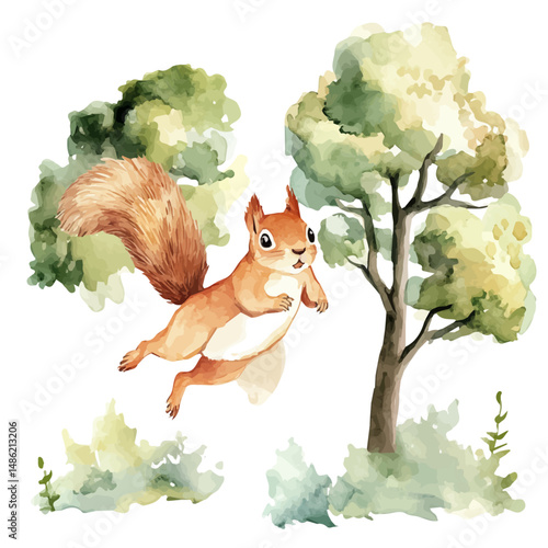 watercolor vector of Squirrel Jumping Between Trees, high quality, isolated on a white background.