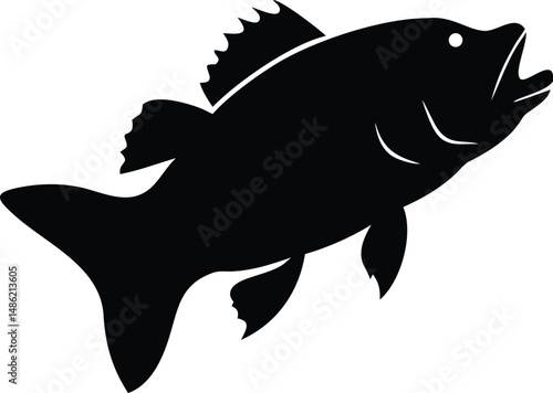 A monochrome bass fish leaps upward with its mouth open, isolated on white