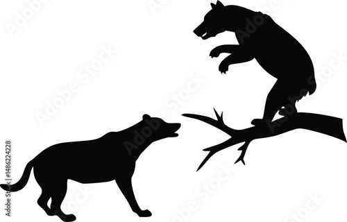 Black bear clings to a tree branch as a wolf howls below it