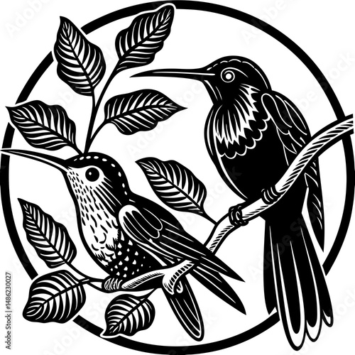 Realistic full-body illustration of a Mexican Violetear bird, an American hummingbird species, on a clean white background—perfect for digital and print use.