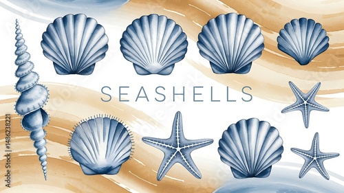 Watercolor Seashells Collection: Coastal Elements, Beach Theme, Summer Design Set