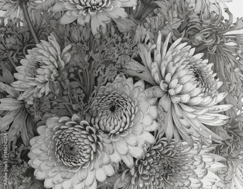 Monochrome-Floral-Drawing-Detailed-Chrysanthemum-Arrangement-Botanical-Pencil-Art-Realistic-Flower-Illustration-Intricate-Petal-Design-Classic-Floral-Motif
