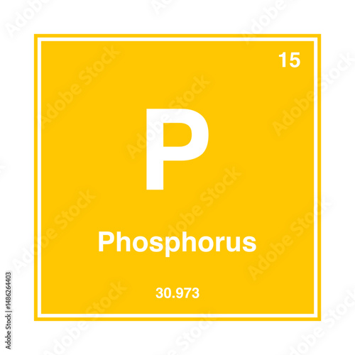 periodic vector phosphorus isolated on transparent background