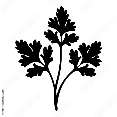 Stylized monochrome parsley illustration, a simple and elegant culinary herb depiction