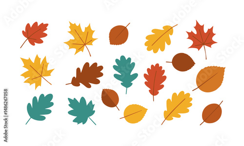Colorful Autumn Leaves Collection