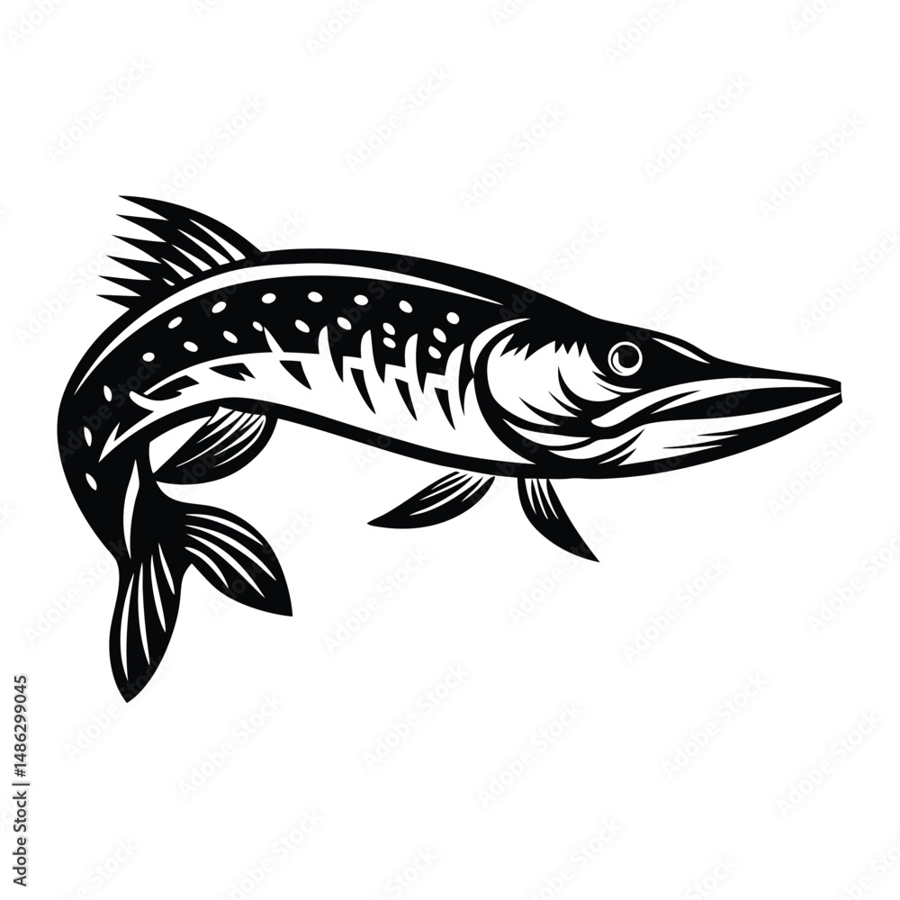 Fototapeta premium Northern Pike Fish, Black and White Silhouette, Sharp Teeth, Swimming, Detailed Fins, Spots