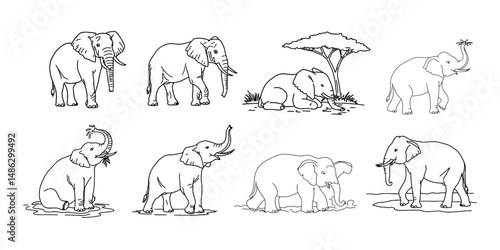 Elephant Line Art Pose Sheet – Walking, Sitting, Drinking, Trunk Up Vector Outline Illustration .