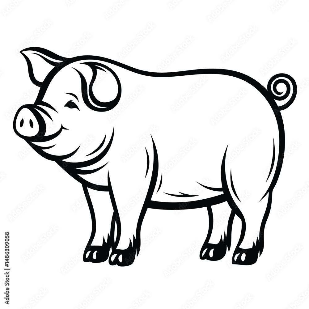 Fototapeta premium Black Outline Drawing of Pig Standing on White Background, Swine with Curly Tail