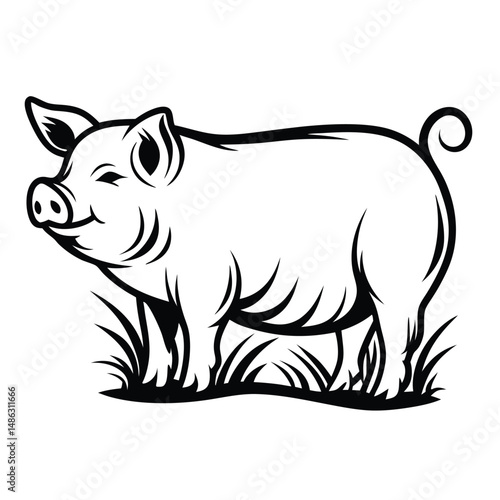 Black & White Pig Farm Animal Outline, Curly Tail, Grass, Isolated