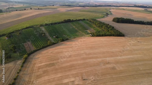 Stunning aerial drone view of expansive vineyard estate with geometric vine rows surrounded by golden farmland and rolling countryside