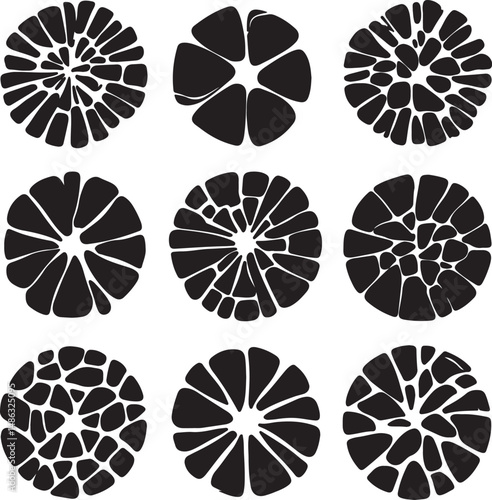 Abstract Black and White Circular Mosaic Tile Pattern Designs Art