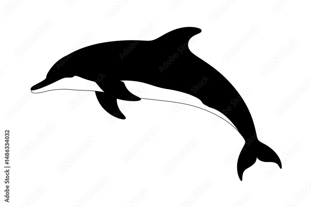 Fototapeta premium Dolphin silhouette ocean animal marine mammal vector