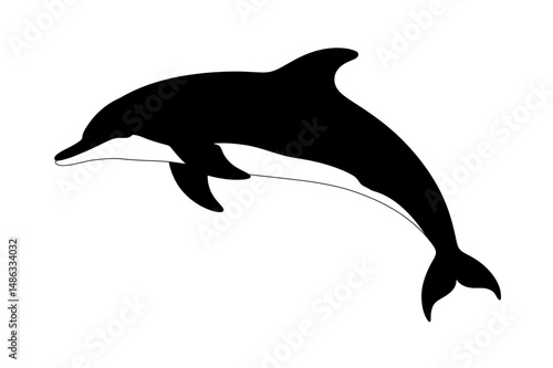 Dolphin silhouette ocean animal marine mammal vector