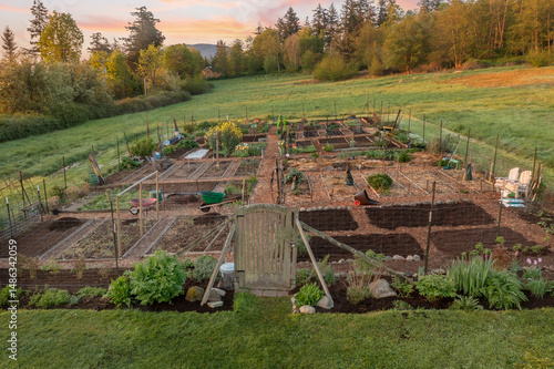 Aerial view of a Community garden located on an island in the Pacific Northwest. Beautiful morning light illuminates a garden area set aside on a land preserve in the Salish Sea area of Washington.