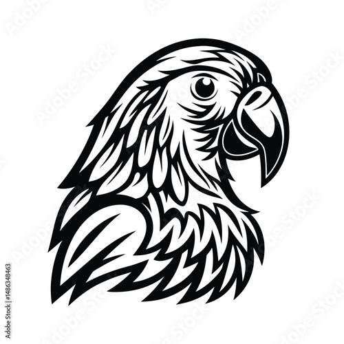 Wallpaper Mural Black and White Parrot Head Detailed Monochrome Illustration, Bird Portrait Torontodigital.ca