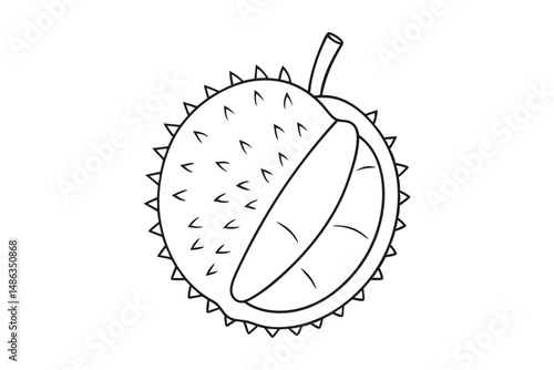 durian fruit vector with slice illustration