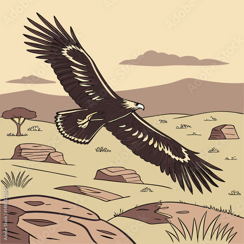 Majestic Wedge-tailed Eagle soaring high above the Australian outback in this detailed vector illustration, perfect for wildlife and nature-themed designs