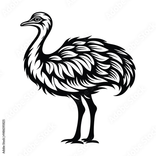 Emu Silhouette Isolated Full Body Black and White of Australian Flightless Bird