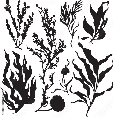 Black Seaweed Silhouette Clipart Collection, Vector Ocean Plants
