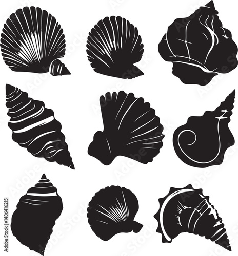 Black and White Seashells Vector Art Illustration Sea Life Graphic