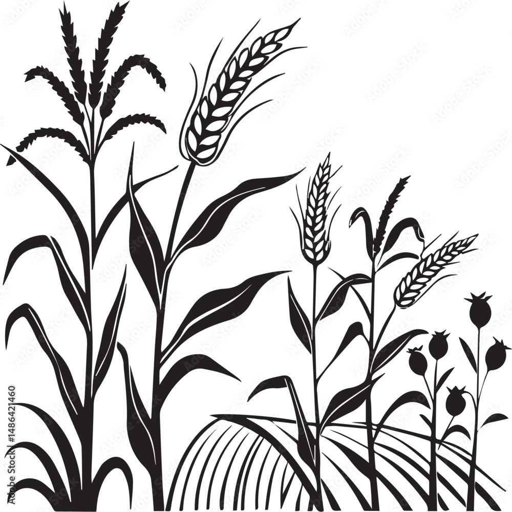 Naklejka premium Black and White Illustration of Wheat Plants and Other Crops in a Field