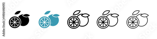 Citrus icon. Thin lines isolated