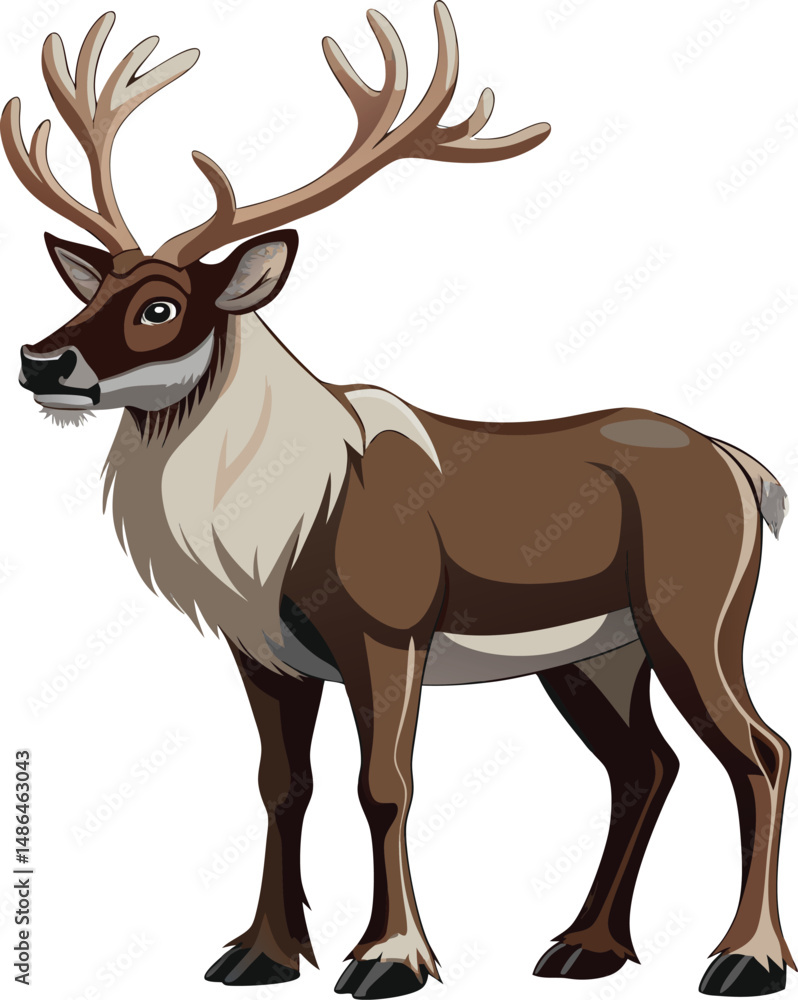 Obraz premium Caribou