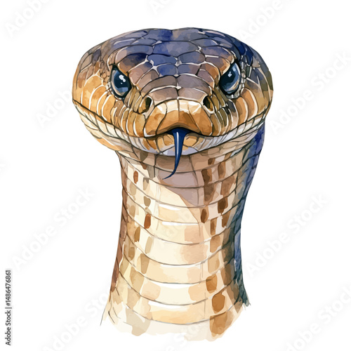 watercolor vector of Cobra With Flared Hood, high quality, isolated on a white background.