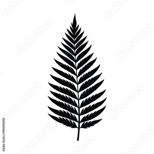 Single black fern leaf silhouette botanical illustration