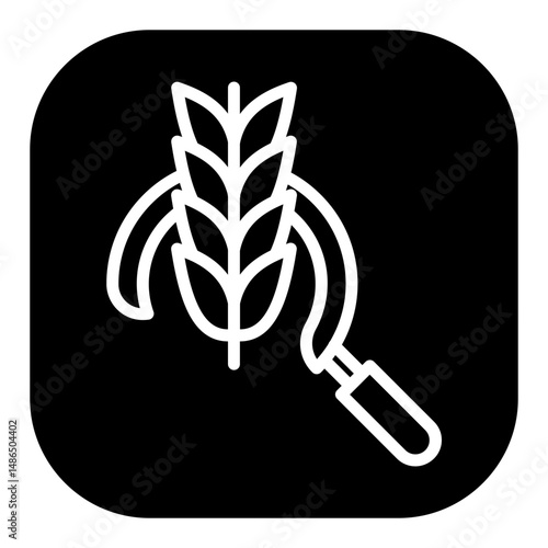 Harvest Vector Icons