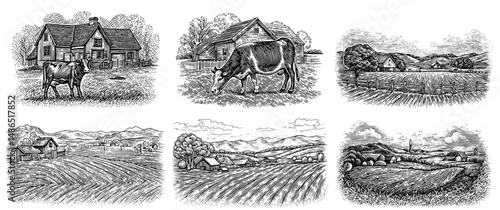 Vintage Farm Scenes Wood Engravings in Black and White, Depicting Idyllic Pastoral Life and Rural Landscapes