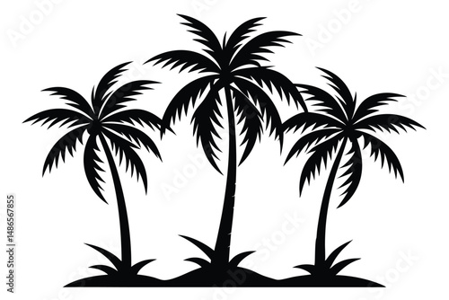 Three palm trees stand together in a silhouette, capturing a tropical island scene