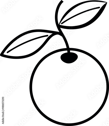 beach plum line art on transparent background.