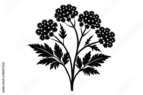 Black silhouette of a plant featuring flowers and leaves displays floral elegance with botanical charm