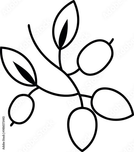 Barberries line art on transparent background 