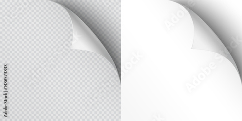Curled page corners isolated on transparent and white background. Blank curve paper edge, bent sheet, note angle with realistic shadow. Vector rolled up stickers, peel banners