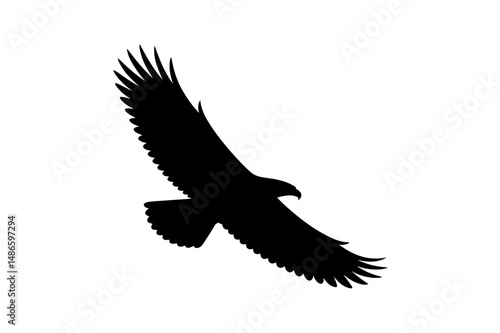 Eagle silhouette flying bird vector illustration