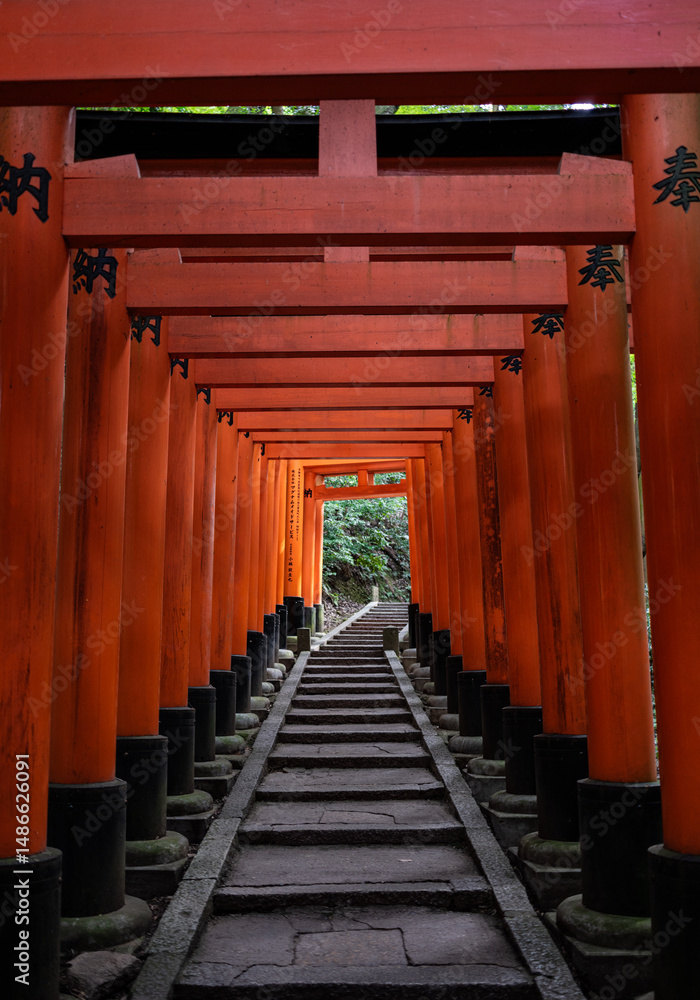 Obraz premium tori gates at a japanese shrine in kyoto japan