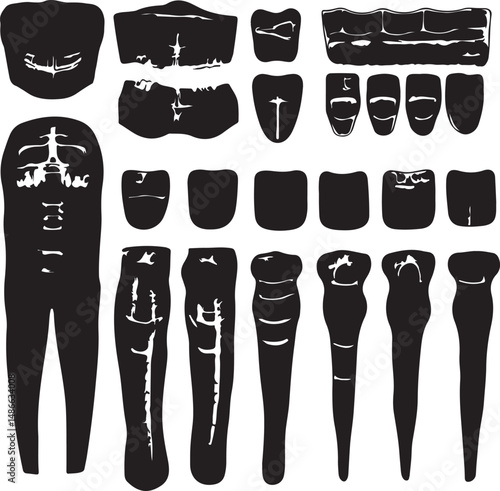 Ancient Egyptian Artifacts: Silhouettes of Sarcophagus and Body Parts